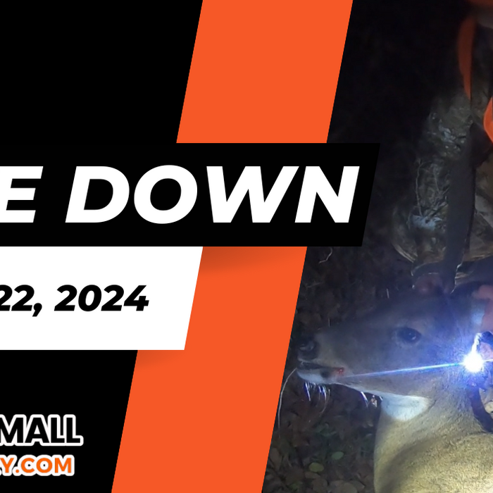 Aim Small Rut Review: November 22, 2024 | Doe Down!