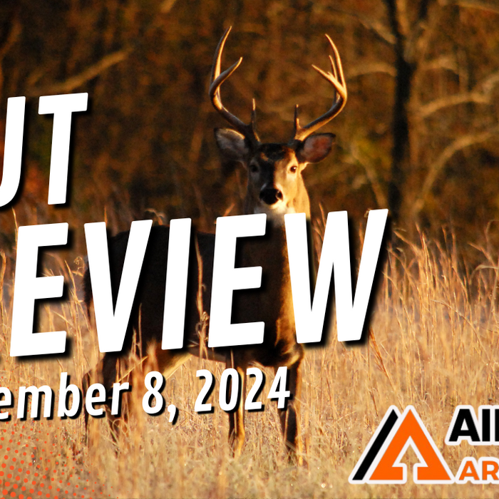 Aim Small Rut Review: November 8, 2024