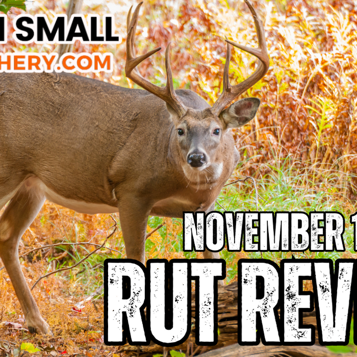 Aim Small Rut Review: November 17, 2024