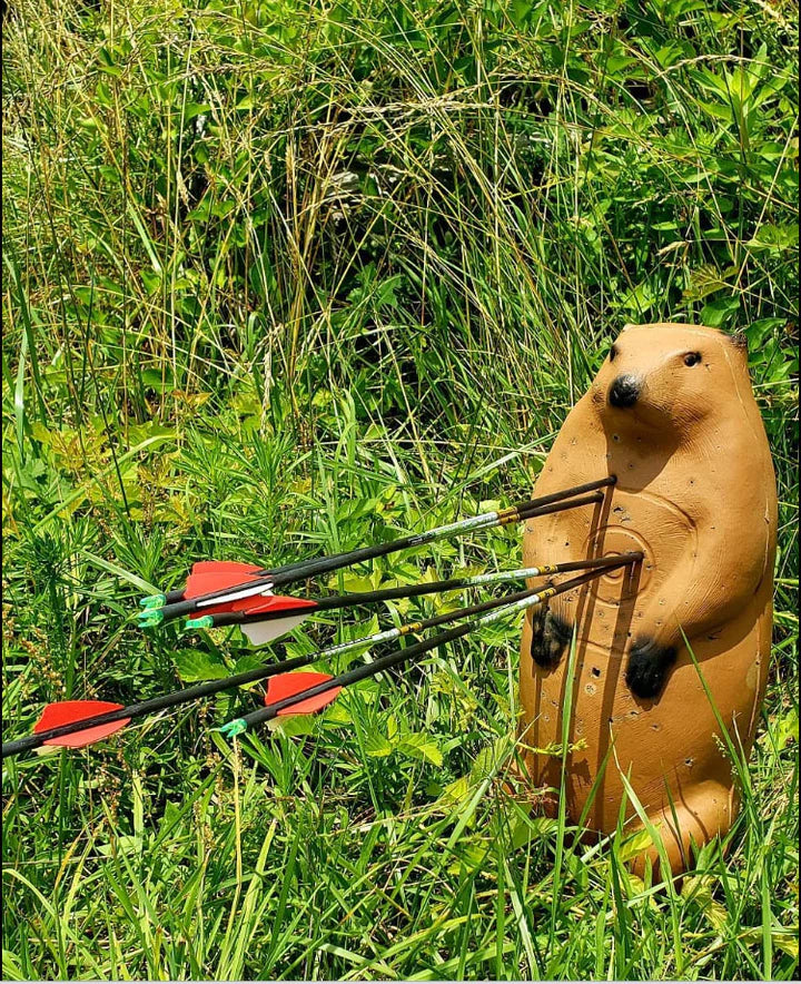 BigShot Targets Pro Hunter Varmint Combo Pack 3D Bow Archery Targets