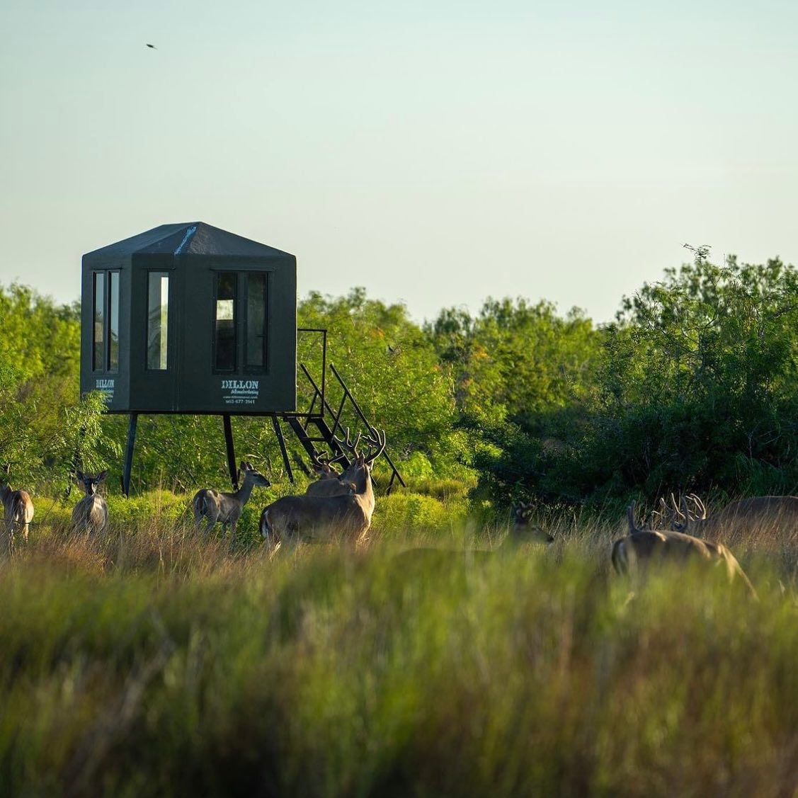 Dillon Blinds 6x7 Bowhunter Edition, Insulated, Elevated Deer Hunting Blind