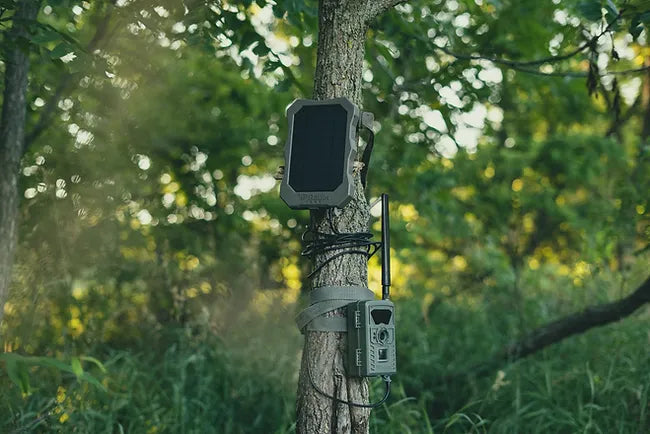 Radix Hunting Solar Panel